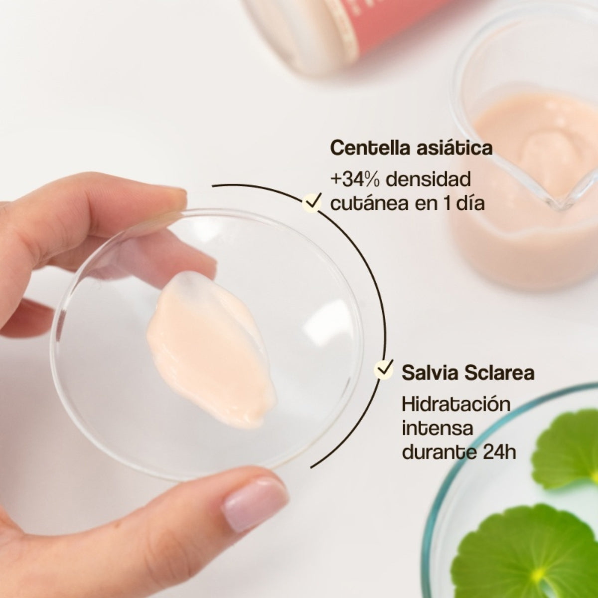 Cica Calm Moisturising Cream · Crema hidratante 50 ml