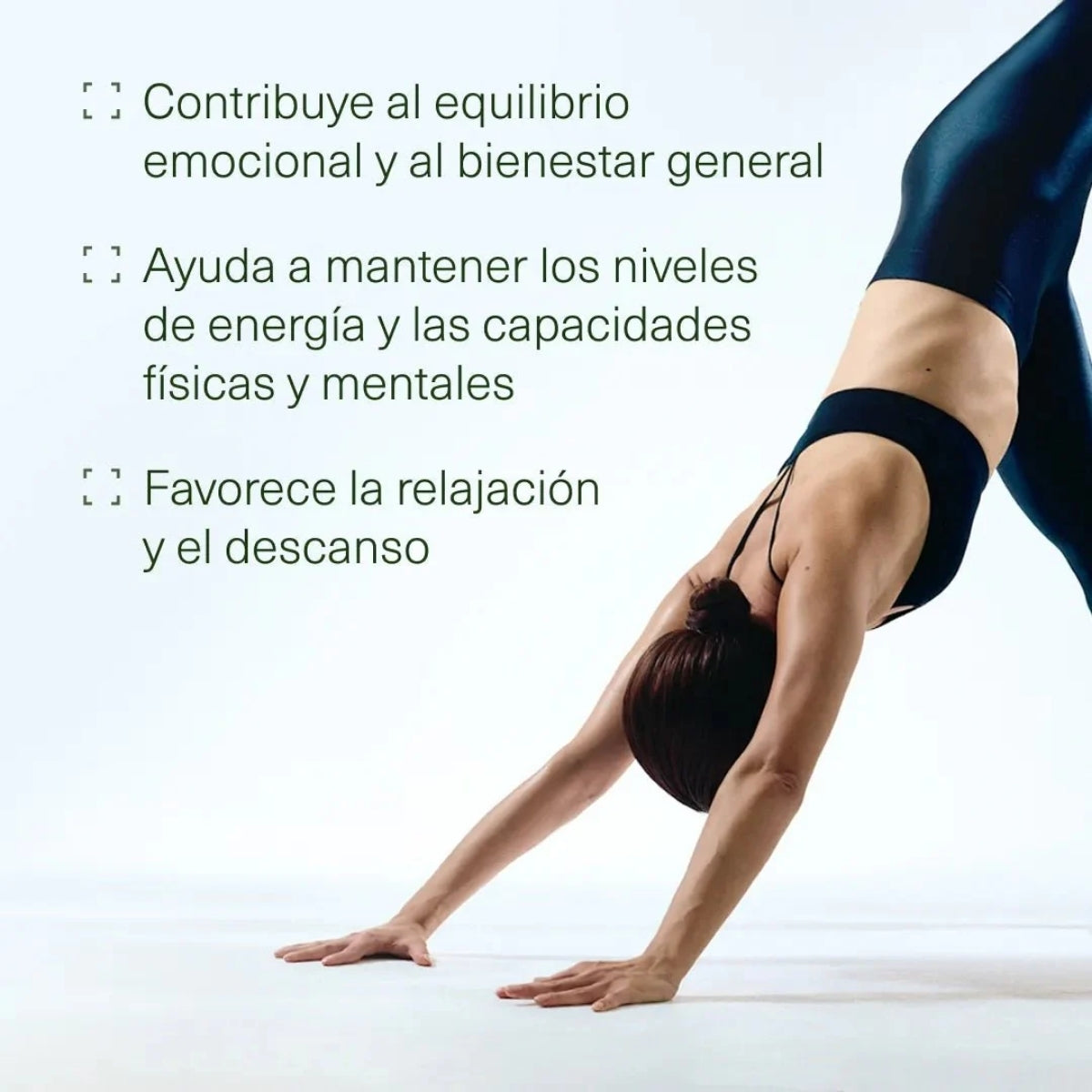 Aldous Bio Ashwagandha KSM-66, el extracto más estudiado de ashwagandha