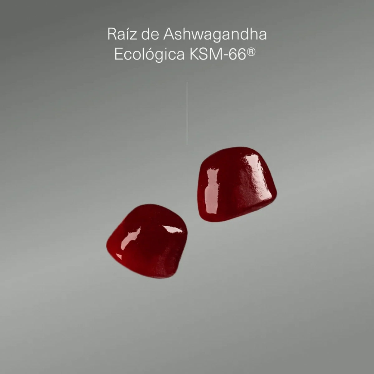 Aldous Bio Ashwagandha KSM-66, la mayor concentración de withanólidos del mercado