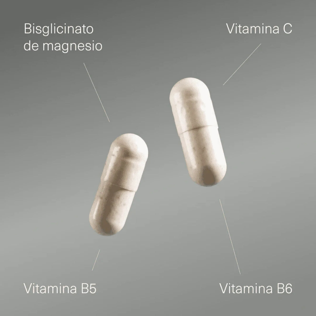 Aldous Bio Bisglicinato de Magnesio con Vitaminas, con vitaminas B5, B6 y C