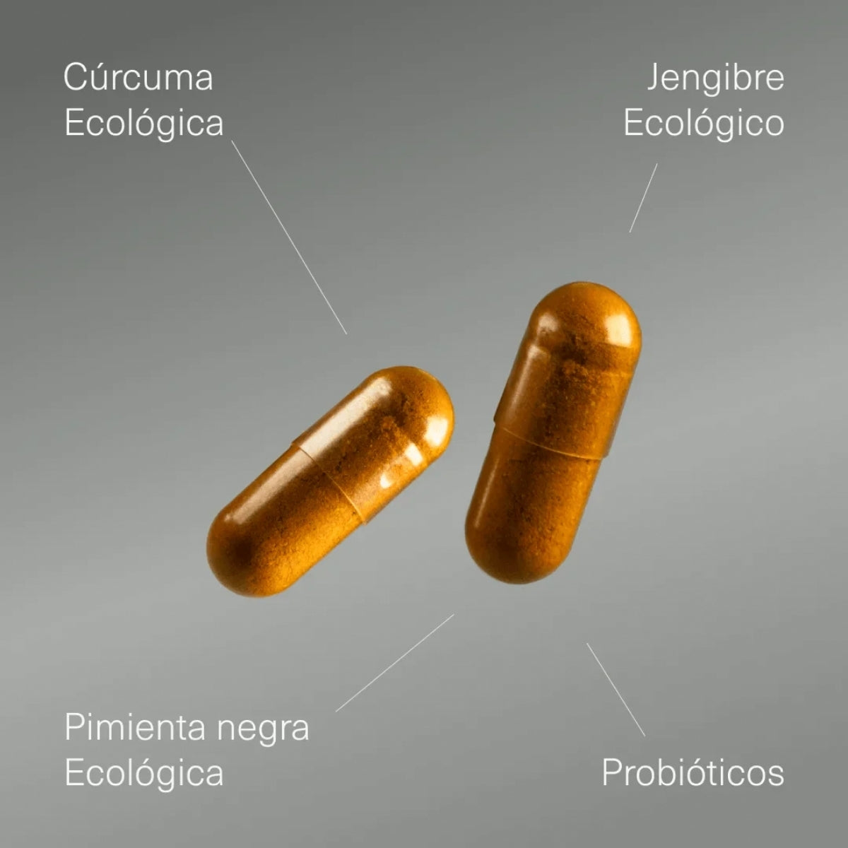 Aldous Bio Cúrcuma Ecológica con Jengibre y Probióticos, acción antiinflamatoria y antioxidante