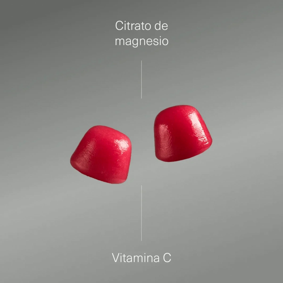 Aldous Bio Magnesio con Vitamina C, gominolas sabor arándano sin gelatina