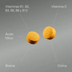 Aldous Bio Vitamina B Complex con Vitamina C, con biotina, ácido fólico y colina