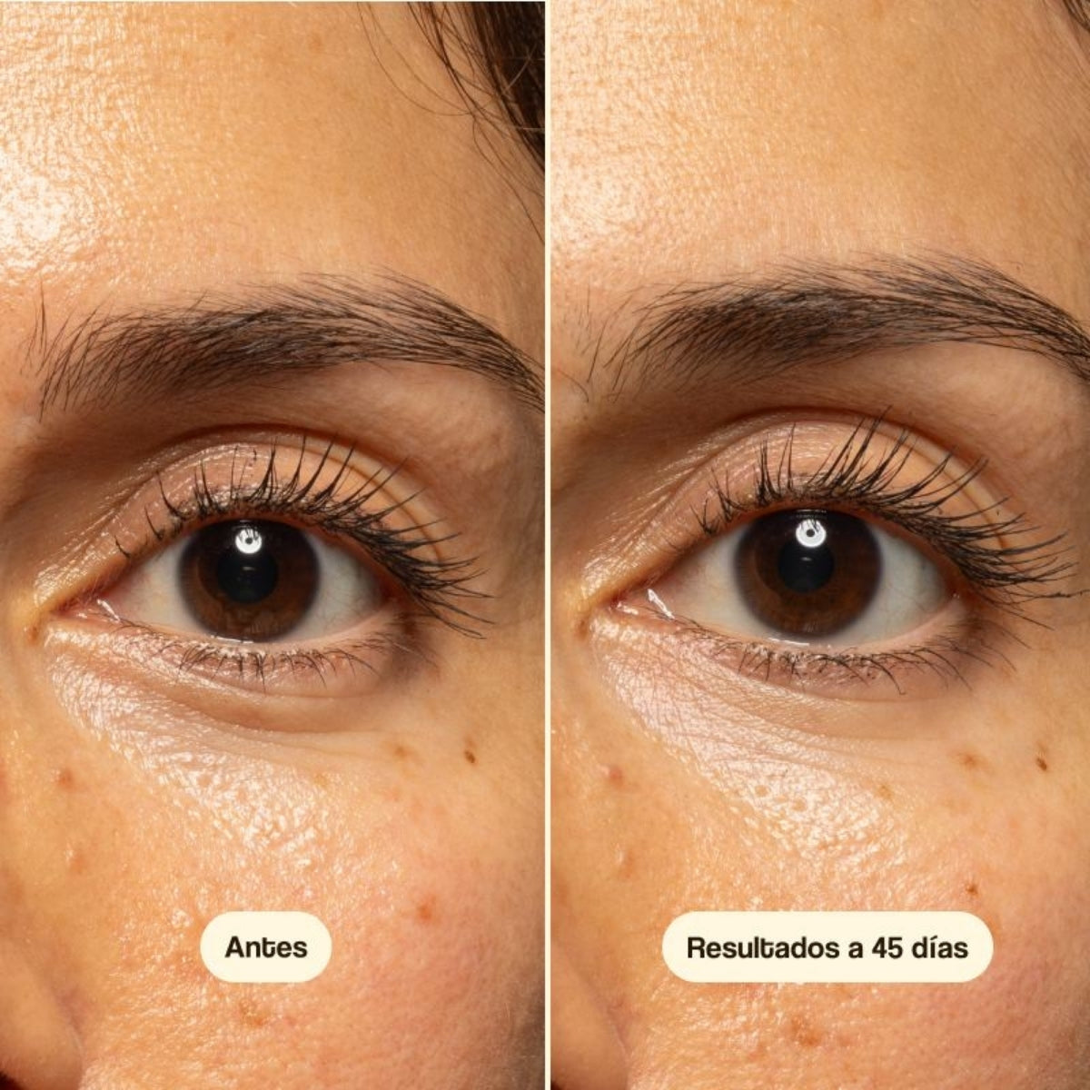 Freshly Cosmetics Exosome Well-Ageing Eye Serum, sin retinol ni ácidos exfoliantes