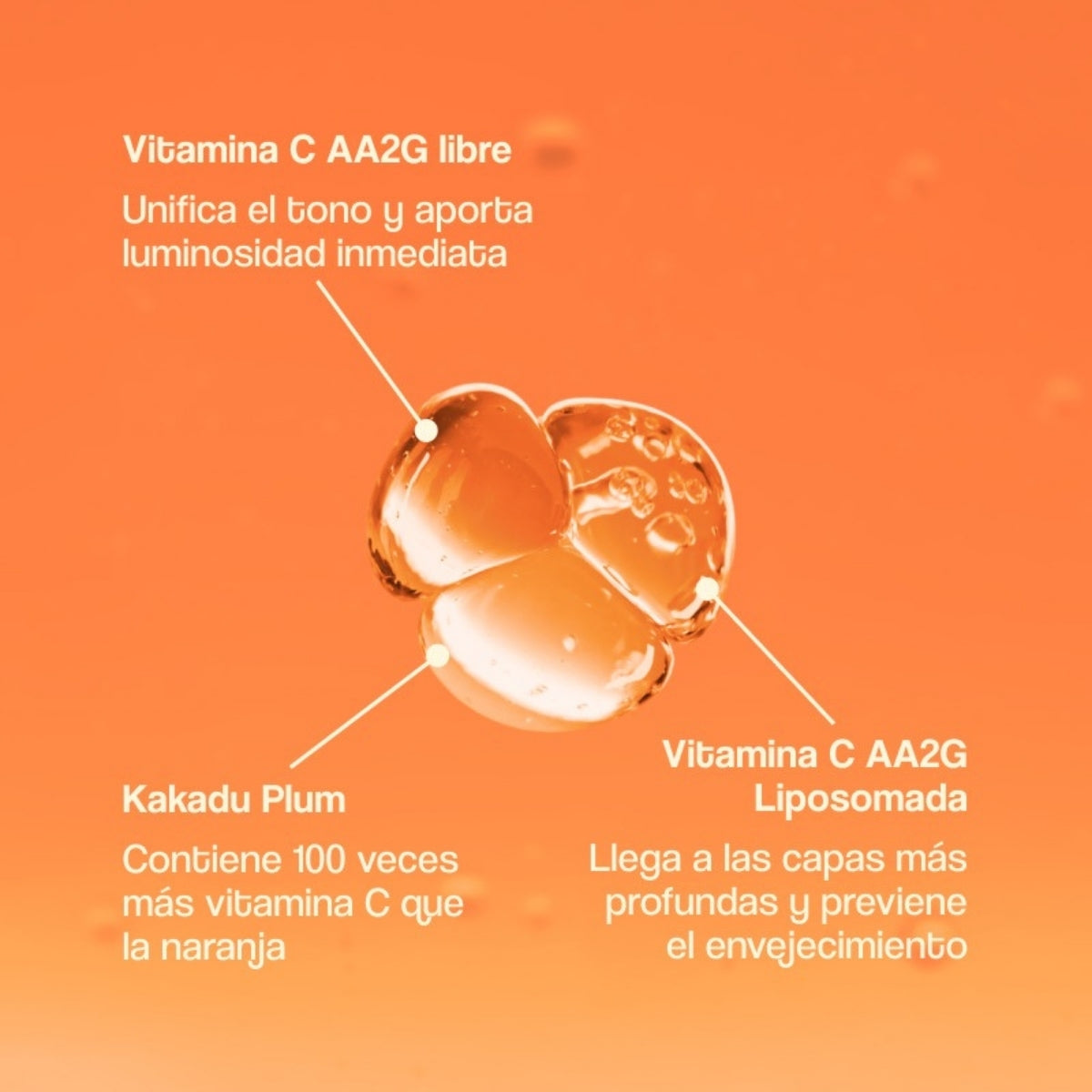 Freshly Cosmetics Vitamin C Advanced Treatment, estimula el colágeno