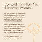 Hair Mist · Bruma capilar 207 ml