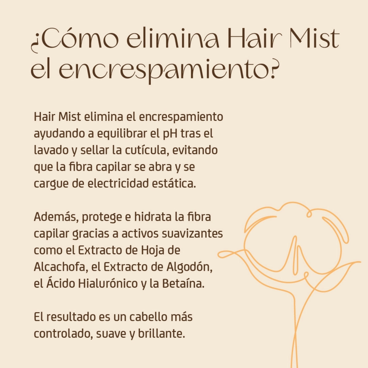 Hair Mist · Bruma capilar 207 ml